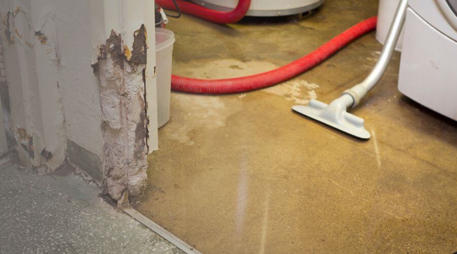Why choose New Lenox Mold Specialist for mold removal in New Lenox, IL